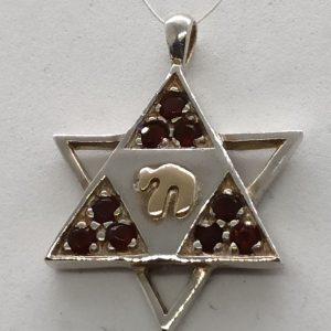 Handmade sterling silver Magen David star Hay Garnets pendant, combined star and 14 carat gold Hay  set with 9 Garnets stones.