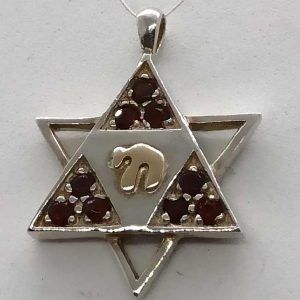 Handmade sterling silver Magen David star Hay Garnets pendant, combined star and 14 carat gold Hay  set with 9 Garnets stones.