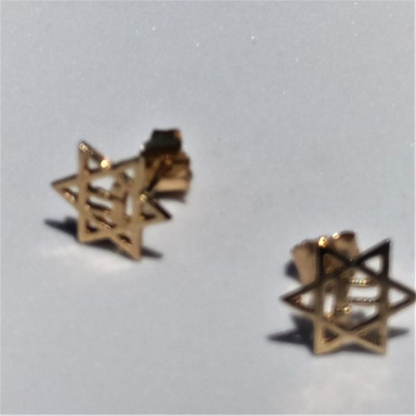 Handmade earrings gold Magendavid Hay, inside star of David is a Hay design inside. Dimension 0.9 cm X 0.85 cm approximately.