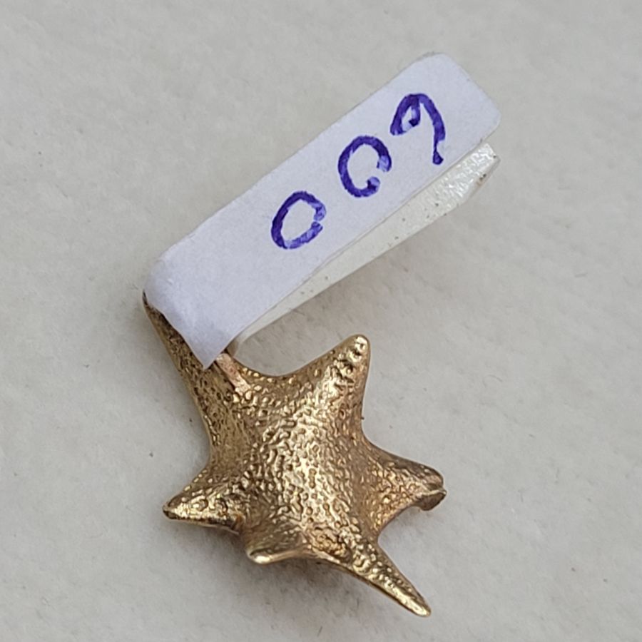 David Star Shell Design - Image 10