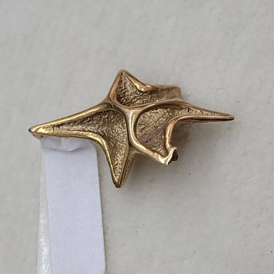 David Star Shell Design - Image 11