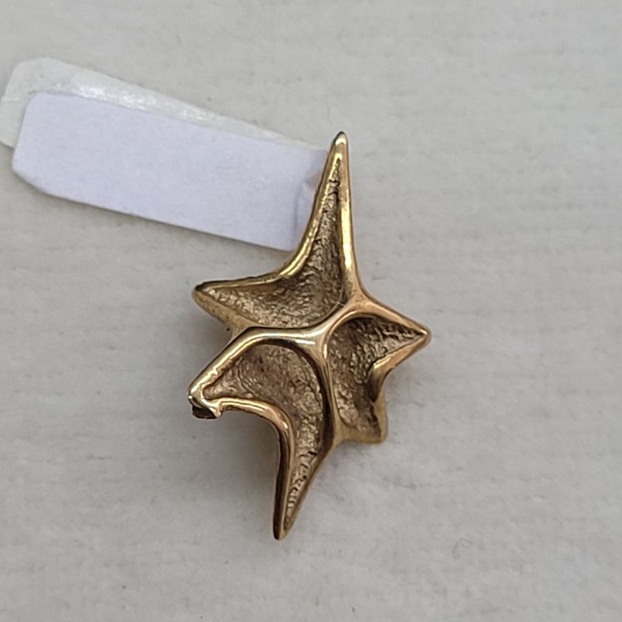 David Star Shell Design - Image 12