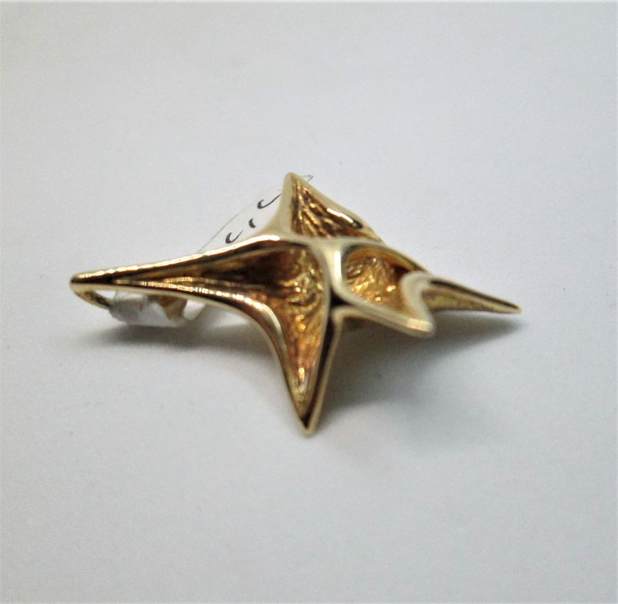 David Star Shell Design - Image 4