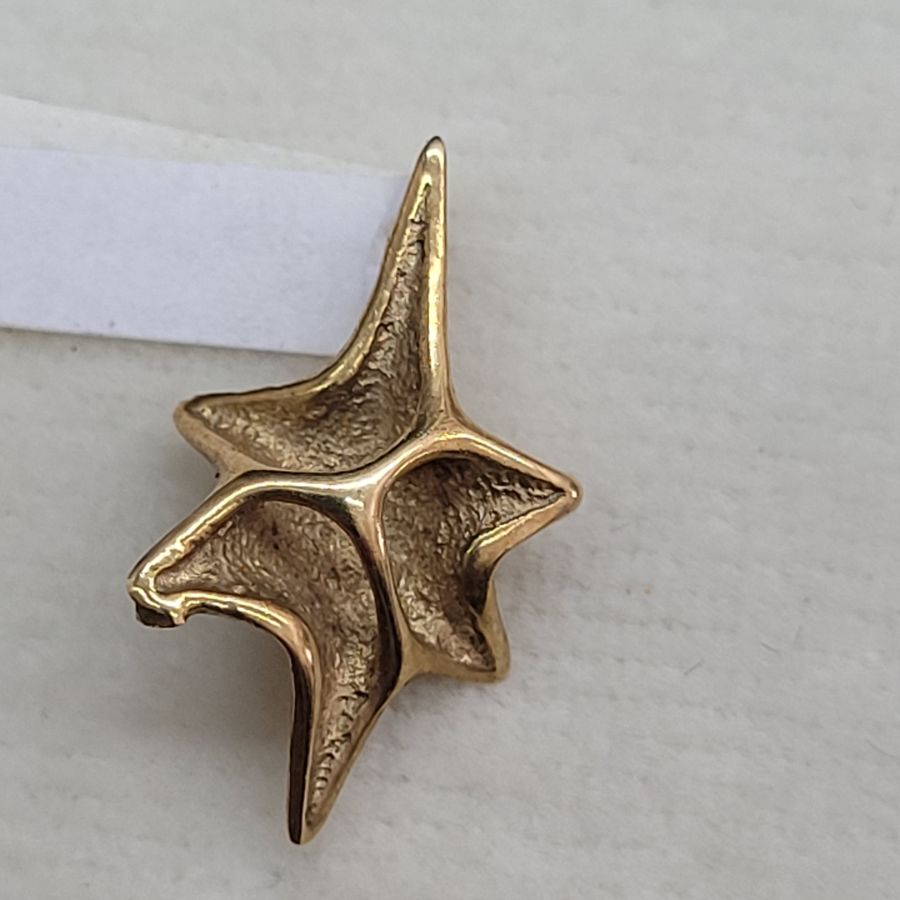 David Star Shell Design - Image 7