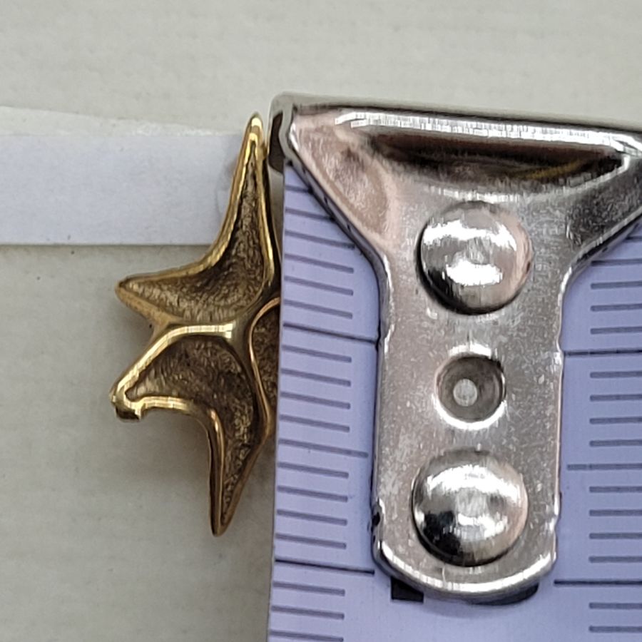 David Star Shell Design - Image 8