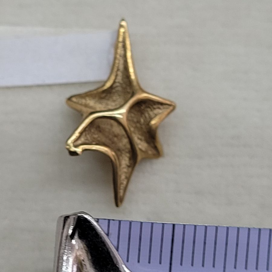 David Star Shell Design - Image 9