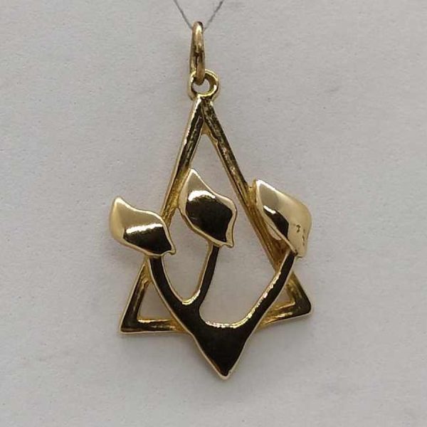 Handmade 14 carat gold Magen David star pendant Shin Hebrew letter carved artistically in star 2 cm X 3.35 cm X 0.25 cm approximately.