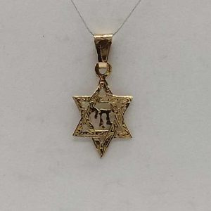 Handmade 14 carat solid yellow gold David Star Hay foliage designs on star. Dimension 2.7 cm X 1.8 cm X 0.065 cm approximately.