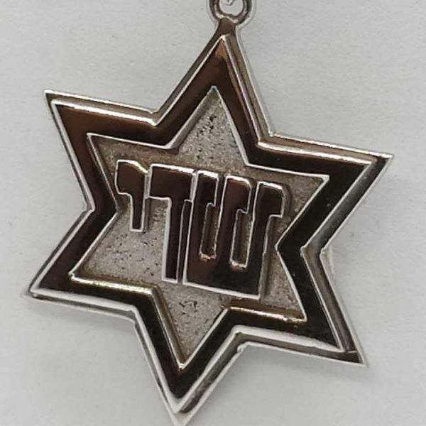 Handmade pendant MagenDavid white gold Shaddai is a Hebrew abbreviation of the word G-D in Hebrew 3.5 cm X 2.3 cm X 0.23 cm approximately.