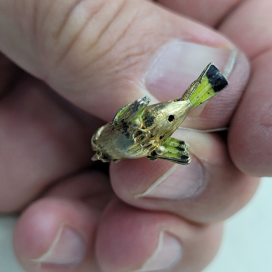 Silver Pendant Exotic Parrot - Image 5