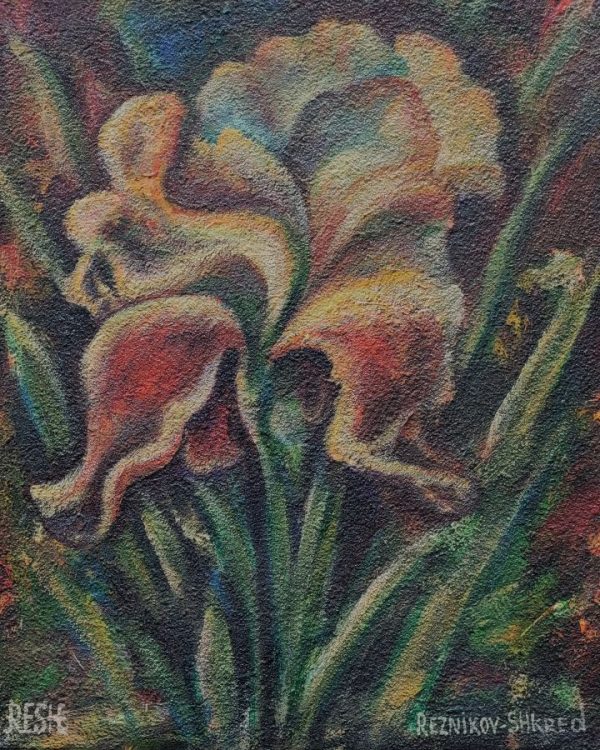 Reznikov skillfully expresses in iris impressionism oil painting the beauty of the natural flower and its colors. Dimension  40 cm X 50 cm approximately.