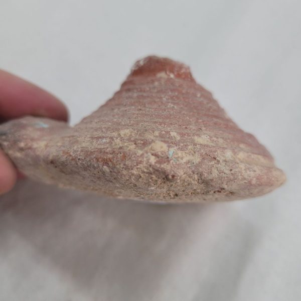 Shaped Herodian oil lamp - Image 6