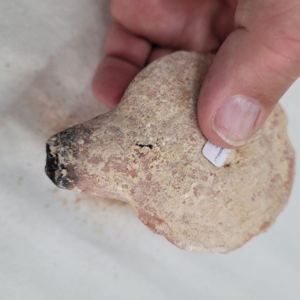 Shaped Herodian oil lamp - Image 7