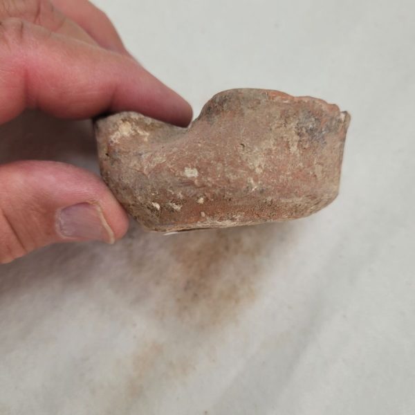 Small Oil Lamp Shell - Image 6