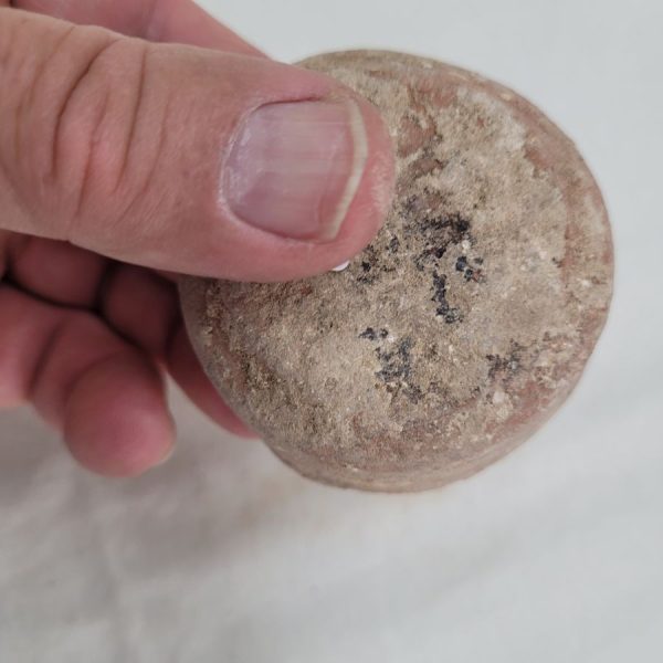 Small Oil Lamp Shell - Image 7