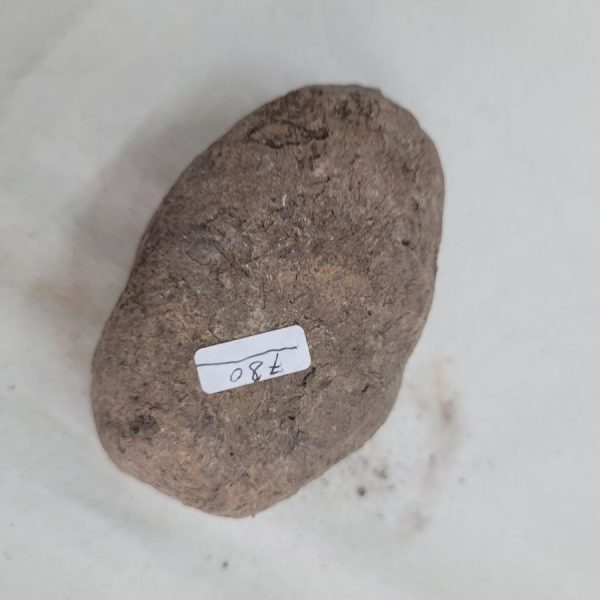 Shell shape oil lamp - Image 6