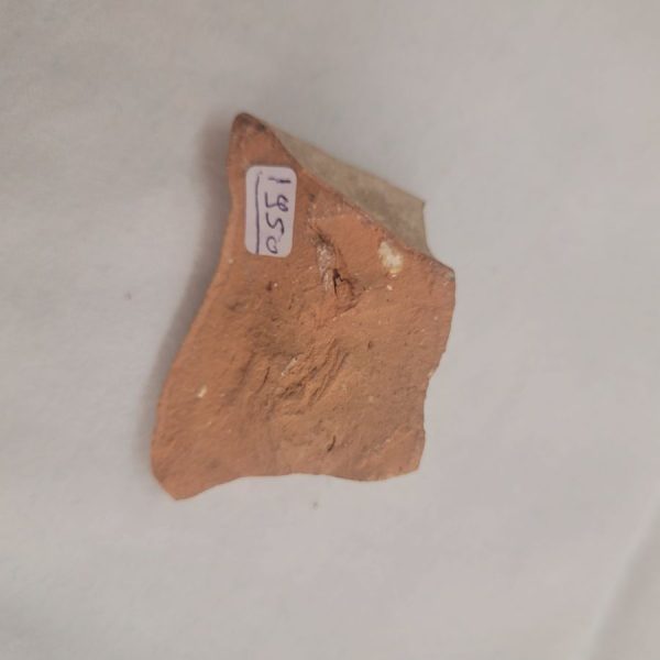  Antique pottery shard designed - Image 6
