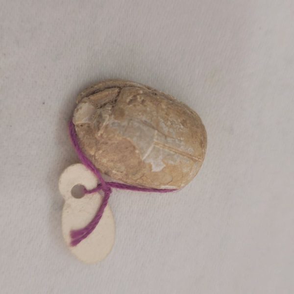 A genuine Egyptian Scarab cartouche with Hieroglyph writing mainly fish engravings dated 2nd century BC. Dimension 1.4 cm X 2.2 cm X 0.9 cm approximately.