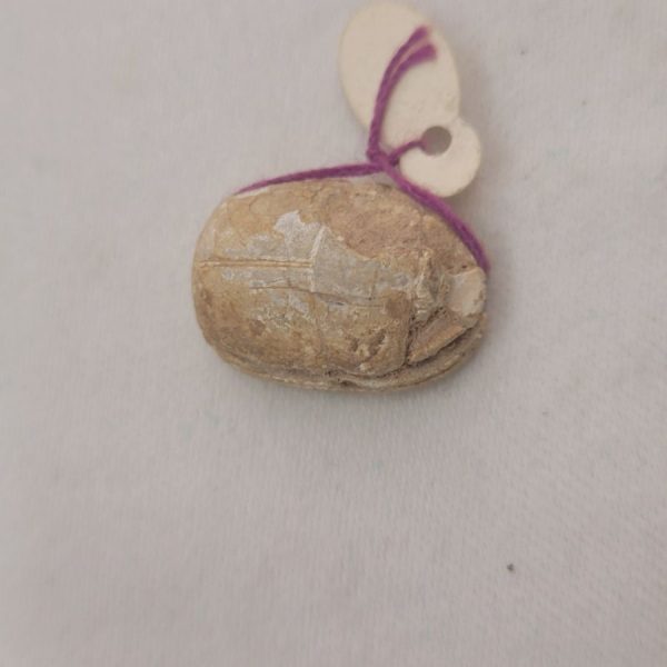 Genuine Egyptian Scarab cartouche - Image 6