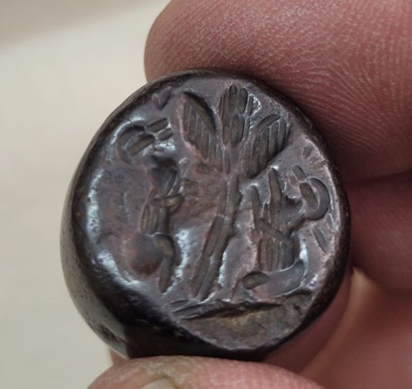 Hematite seal two deer - Image 7